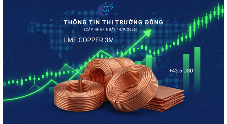 Thị Trường Kim Loại Cơ Bản: Giá Đồng LME 3M Phục Hồi Sau Cú Giảm Sâu Phiên 11/9