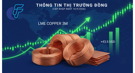 Thị Trường Kim Loại Cơ Bản: Giá Đồng LME 3M Phục Hồi Sau Cú Giảm Sâu Phiên 11/9