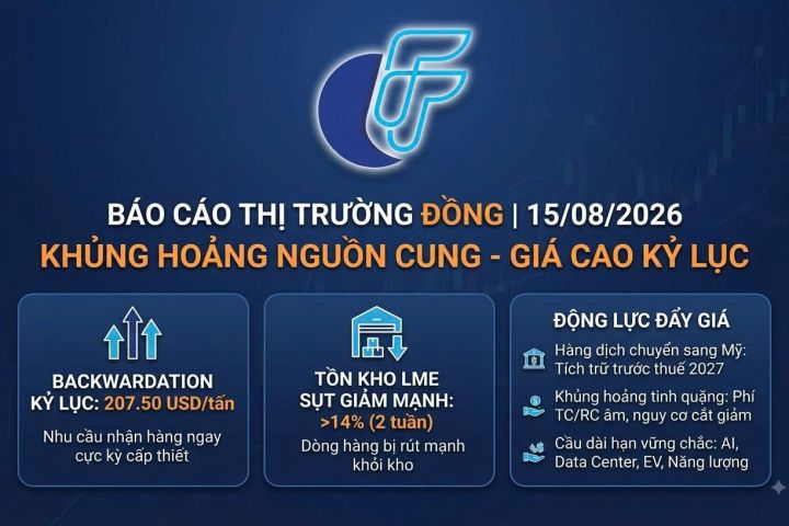 Giá đồng trên sàn LME duy trì đỉnh cao kỷ lục 