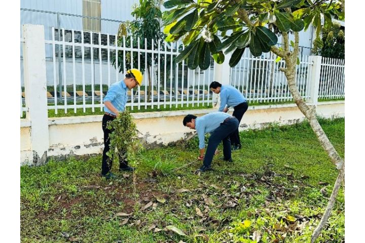 HOẠT ĐỘNG 5S  VÀ TRỒNG CÂY