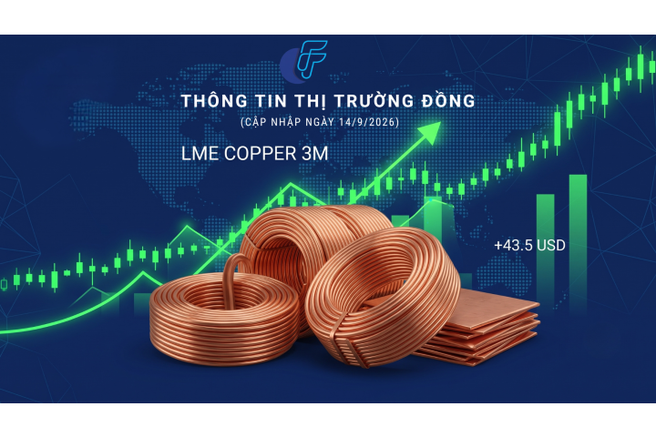 Thị Trường Kim Loại Cơ Bản: Giá Đồng LME 3M Phục Hồi Sau Cú Giảm Sâu Phiên 11/9