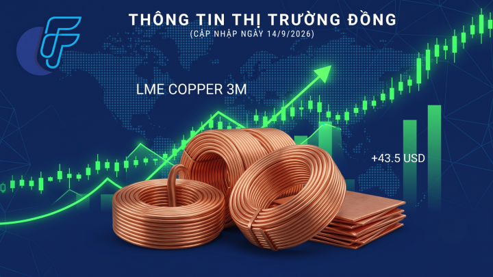 Thị Trường Kim Loại Cơ Bản: Giá Đồng LME 3M Phục Hồi Sau Cú Giảm Sâu Phiên 11/9