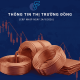[BẢN TIN THỊ TRƯỜNG DỒNG] GIÁ ĐỒNG LME THÁNG 9/2026 LẬP ĐỈNH KỶ LỤC VÔ TIỀN KHOÁNG HẬU: ĐỘNG LỰC NÀO ĐỨNG SAU CƠN SỐT? 