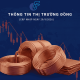 Giá Đồng LME Giảm Xuống 14.413 USD/Tấn: Áp Lực Kinh Tế Trung Quốc Và Thách Thức Nguồn Cung Tinh Luyện