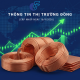 PHÂN TÍCH THỊ TRƯỜNG ĐỒNG LME NGÀY 16/09/2026